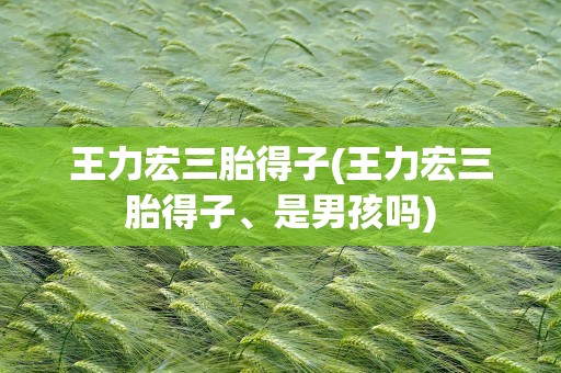 王力宏三胎得子(王力宏三胎得子、是男孩吗)
