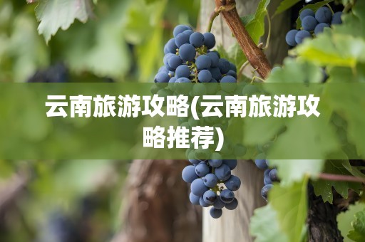 云南旅游攻略(云南旅游攻略推荐)