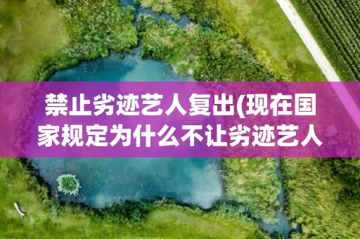 禁止劣迹艺人复出(现在国家规定为什么不让劣迹艺人转移阵地复出了呢)