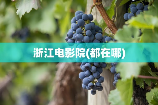 浙江电影院(都在哪)