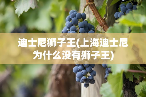 迪士尼狮子王(上海迪士尼为什么没有狮子王)
