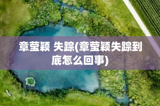章莹颖 失踪(章莹颖失踪到底怎么回事)