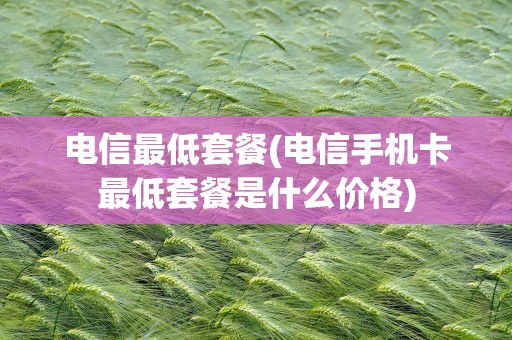 电信最低套餐(电信手机卡最低套餐是什么价格)