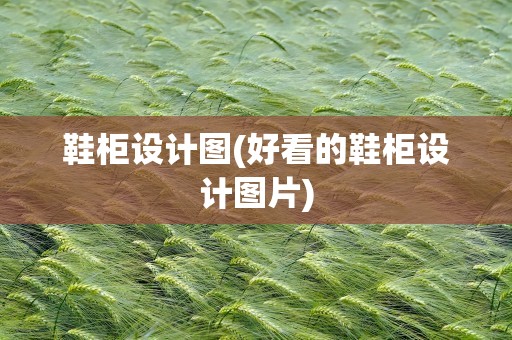 鞋柜设计图(好看的鞋柜设计图片)