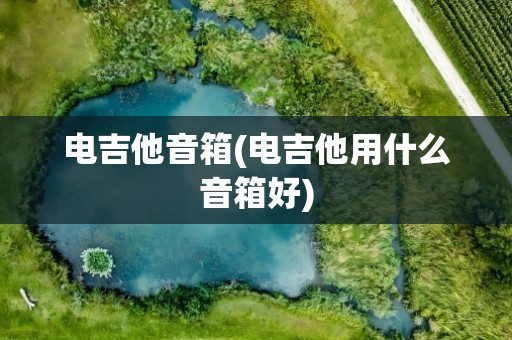 电吉他音箱(电吉他用什么音箱好)
