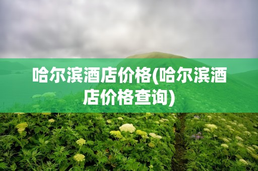哈尔滨酒店价格(哈尔滨酒店价格查询)