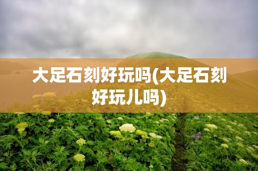 大足石刻好玩吗(大足石刻好玩儿吗)