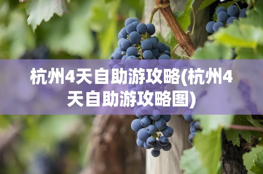 杭州4天自助游攻略(杭州4天自助游攻略图)