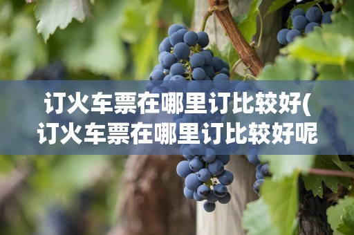 订火车票在哪里订比较好(订火车票在哪里订比较好呢)