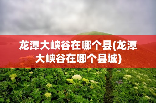龙潭大峡谷在哪个县(龙潭大峡谷在哪个县城)