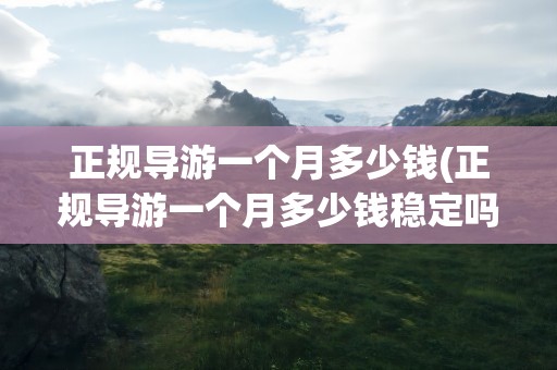 正规导游一个月多少钱(正规导游一个月多少钱稳定吗)