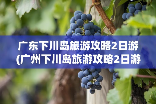广东下川岛旅游攻略2日游(广州下川岛旅游攻略2日游)