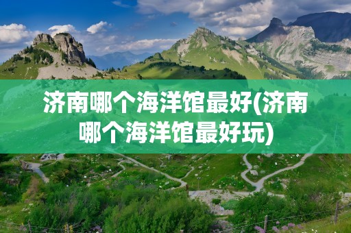 济南哪个海洋馆最好(济南哪个海洋馆最好玩)