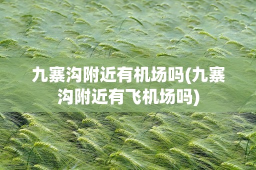 九寨沟附近有机场吗(九寨沟附近有飞机场吗)