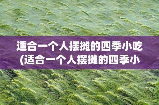 适合一个人摆摊的四季小吃(适合一个人摆摊的四季小吃视频)
