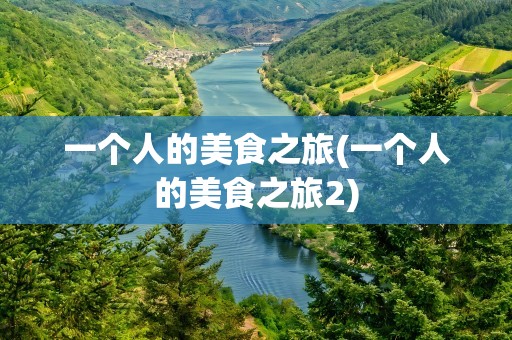 一个人的美食之旅(一个人的美食之旅2)