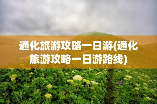 通化旅游攻略一日游(通化旅游攻略一日游路线)