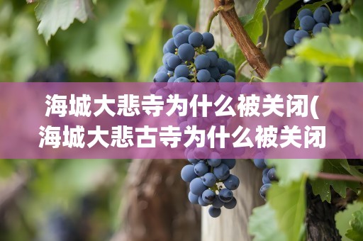 海城大悲寺为什么被关闭(海城大悲古寺为什么被关闭)
