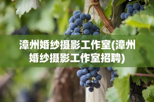 漳州婚纱摄影工作室(漳州婚纱摄影工作室招聘)