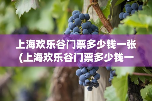上海欢乐谷门票多少钱一张(上海欢乐谷门票多少钱一张票)