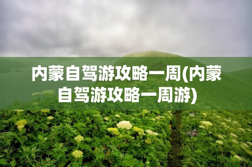 内蒙自驾游攻略一周(内蒙自驾游攻略一周游)