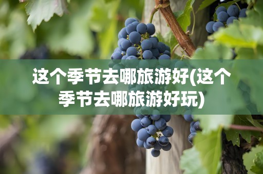 这个季节去哪旅游好(这个季节去哪旅游好玩)