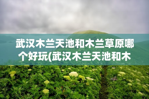 武汉木兰天池和木兰草原哪个好玩(武汉木兰天池和木兰草原哪个好玩些)