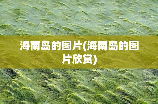 海南岛的图片(海南岛的图片欣赏)