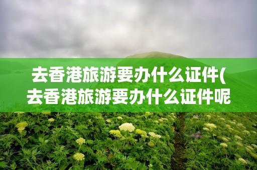 去香港旅游要办什么证件(去香港旅游要办什么证件呢)