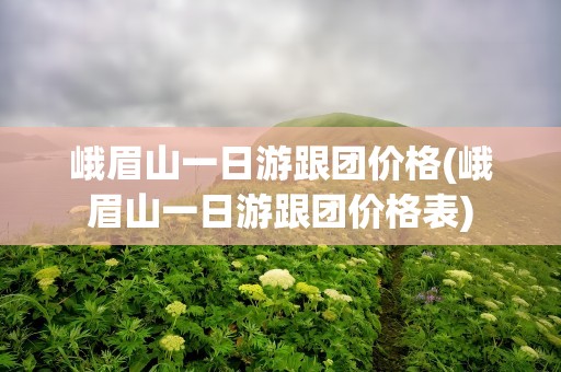 峨眉山一日游跟团价格(峨眉山一日游跟团价格表)