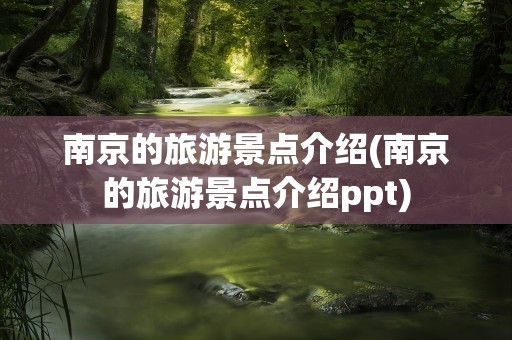 南京的旅游景点介绍(南京的旅游景点介绍ppt)