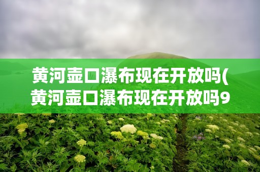 黄河壶口瀑布现在开放吗(黄河壶口瀑布现在开放吗9月)