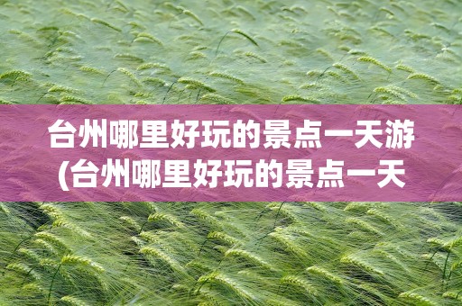 台州哪里好玩的景点一天游(台州哪里好玩的景点一天游自驾)