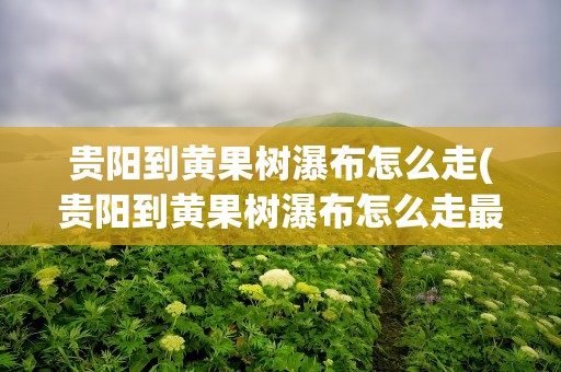 贵阳到黄果树瀑布怎么走(贵阳到黄果树瀑布怎么走最方便)