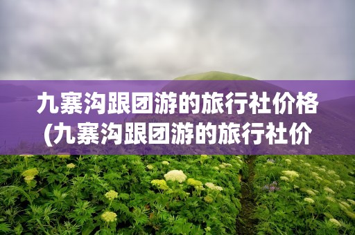 九寨沟跟团游的旅行社价格(九寨沟跟团游的旅行社价格乐至)