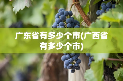 广东省有多少个市(广西省有多少个市)