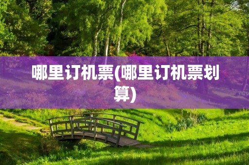 哪里订机票(哪里订机票划算)