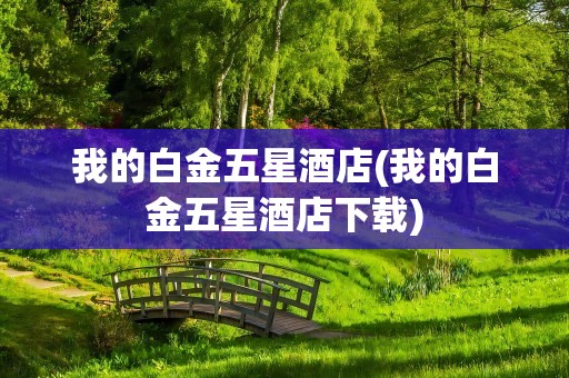 我的白金五星酒店(我的白金五星酒店下载)