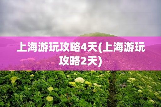 上海游玩攻略4天(上海游玩攻略2天)