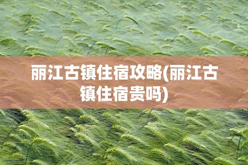 丽江古镇住宿攻略(丽江古镇住宿贵吗)