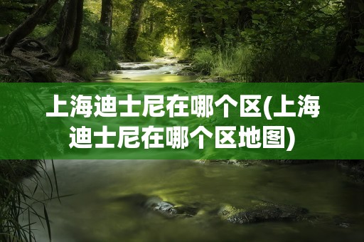 上海迪士尼在哪个区(上海迪士尼在哪个区地图)
