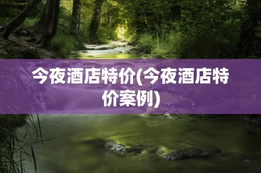 今夜酒店特价(今夜酒店特价案例)