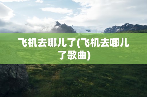 飞机去哪儿了(飞机去哪儿了歌曲)