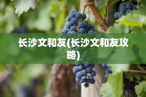 长沙文和友(长沙文和友攻略)