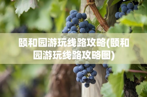颐和园游玩线路攻略(颐和园游玩线路攻略图)