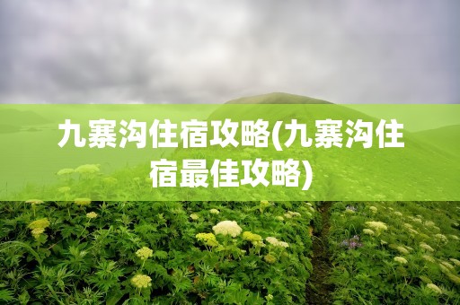 九寨沟住宿攻略(九寨沟住宿最佳攻略)