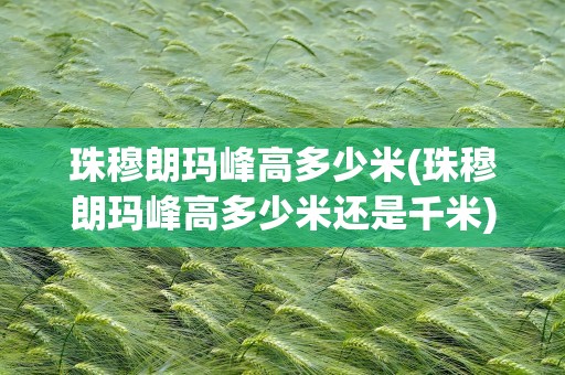 珠穆朗玛峰高多少米(珠穆朗玛峰高多少米还是千米)