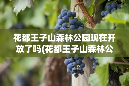 花都王子山森林公园现在开放了吗(花都王子山森林公园现在开放了吗最近)