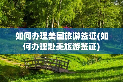 如何办理美国旅游签证(如何办理赴美旅游签证)