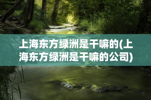 上海东方绿洲是干嘛的(上海东方绿洲是干嘛的公司)